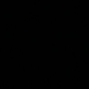 Meet your Posher, Jocelyn